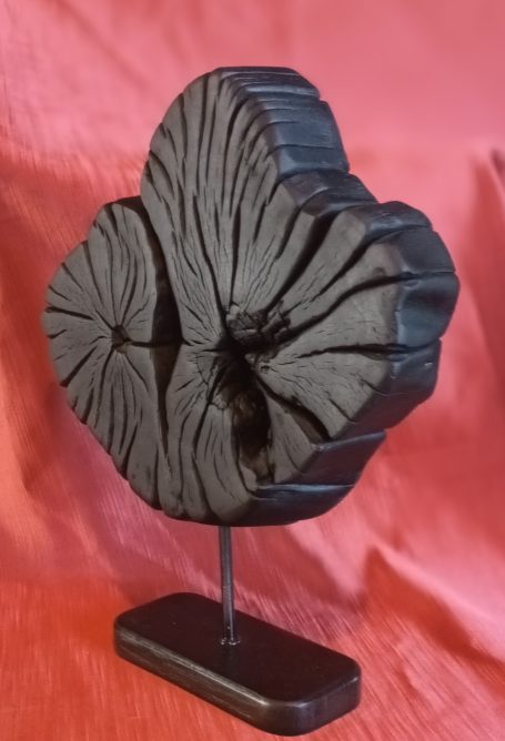 yakisugi is an ancient Japenese technique by charring wood with fire